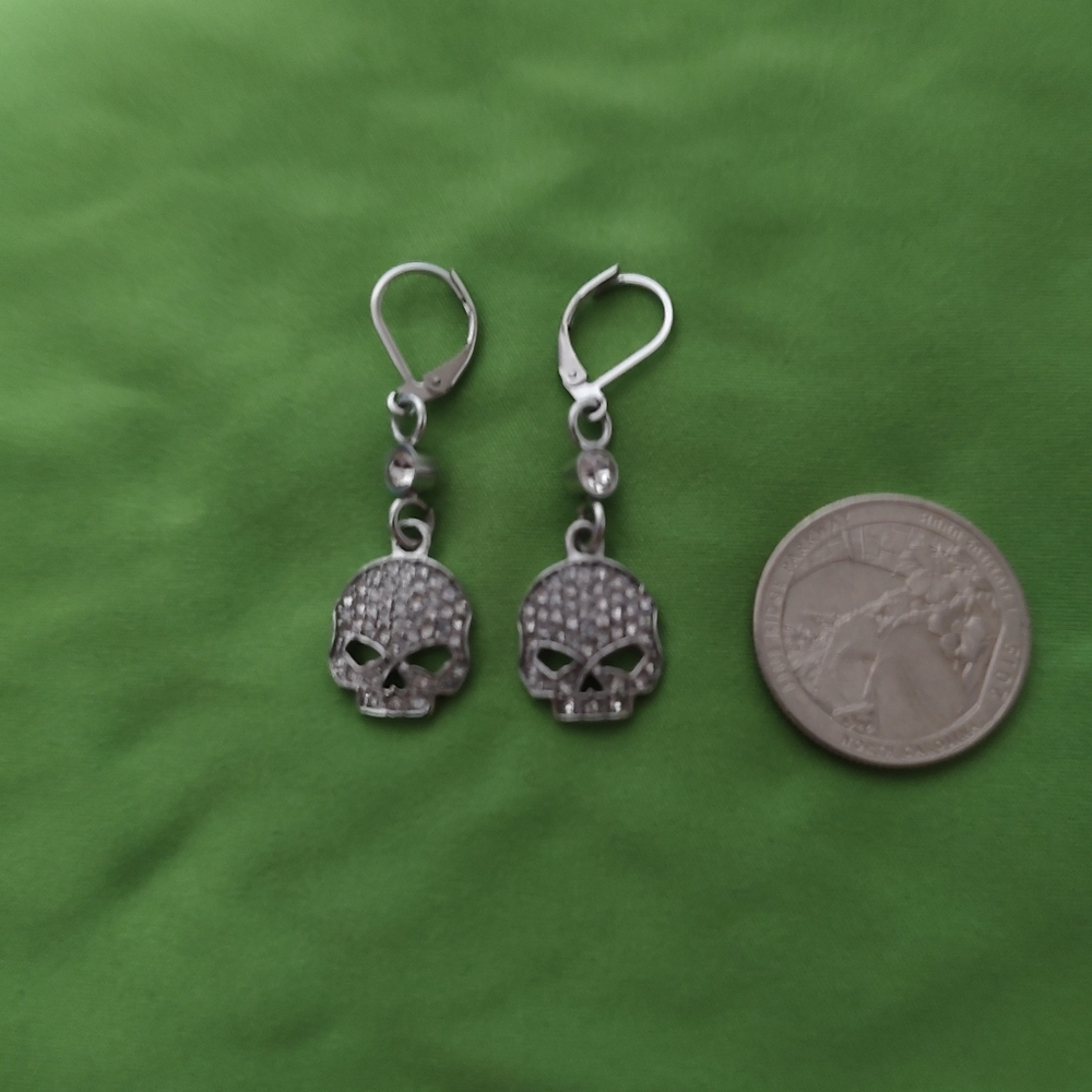 Biker/Gothic Skull Earrings